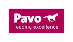 Pavo