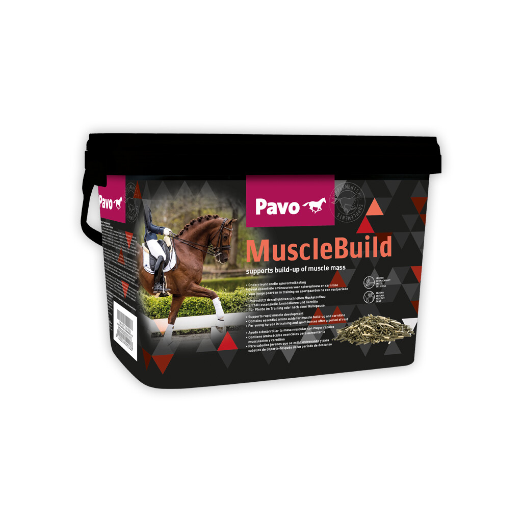 PAVO Ergänzungsfutter MUSCLEBUILD für Pferde 3kg