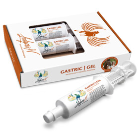 LUDGERS N Ergänzungsfutter GASTRIC GEL für Pferde