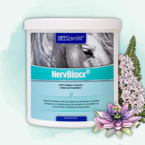 HIPPOSPORT Ergänzungsfutter NERVBLOXX für Pferde 600g