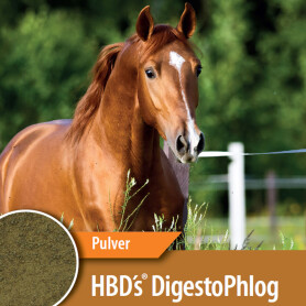 HBDS Ergänzungsfutter DIGESTOPHLOG für Pferde 2kg