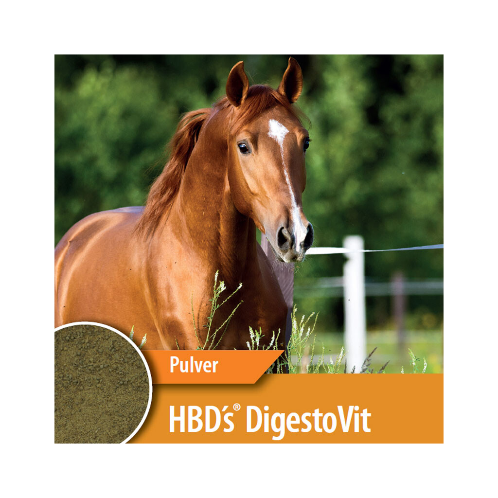 HBDS Ergänzungsfutter DIGESTO VIT für Pferde 2kg