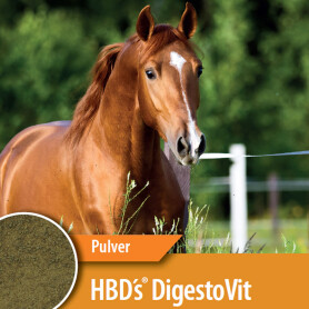 HBDS Ergänzungsfutter DIGESTO VIT für Pferde 2kg