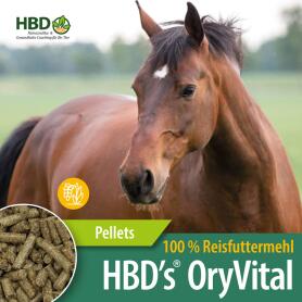 HBDS Futter ORY VITAL REISFUTTERMEHL für Pferde 10kg