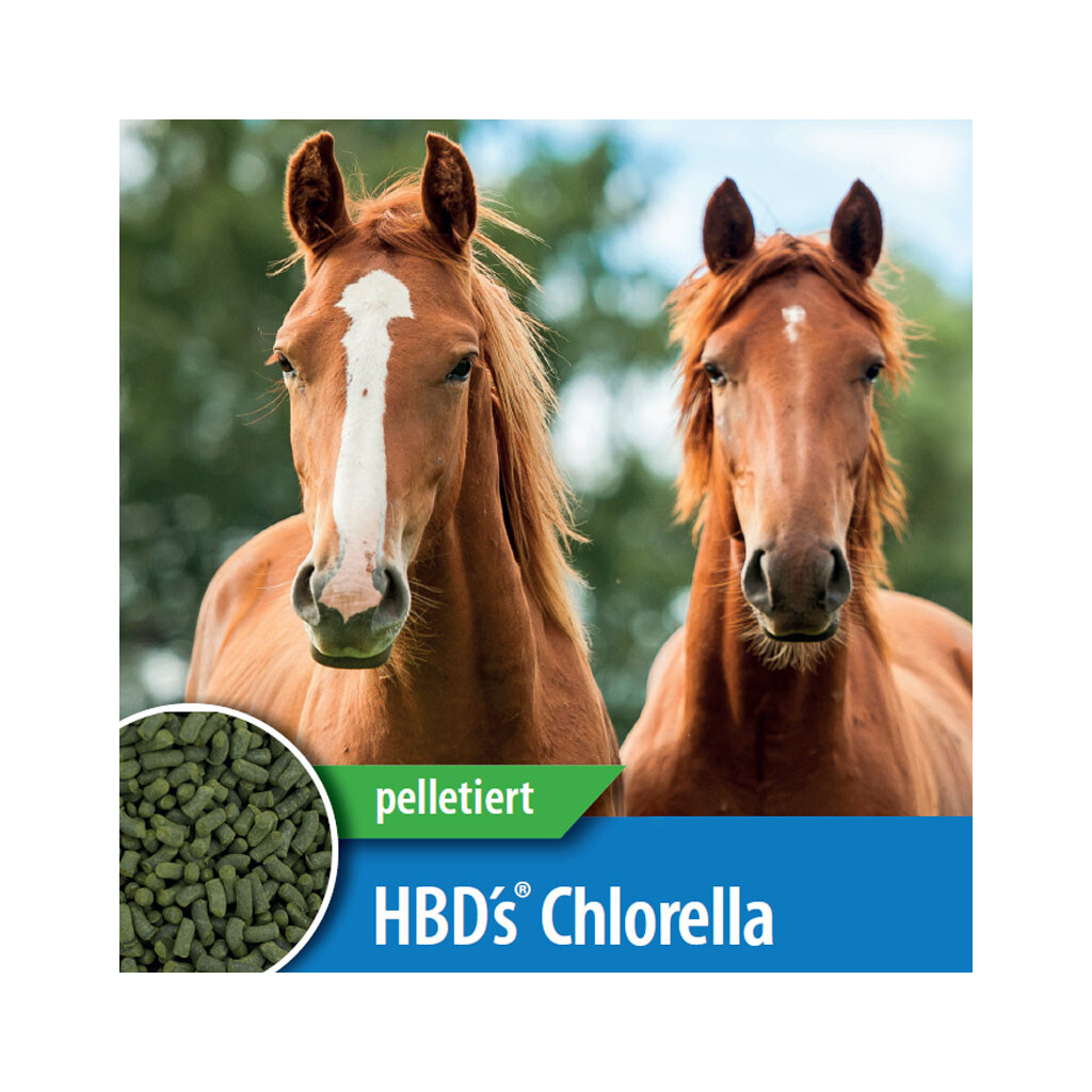 HBDS Ergänzungsfutter CHLORELLA für Pferde