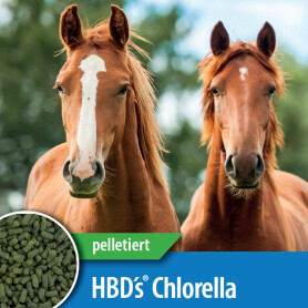 HBDS Ergänzungsfutter CHLORELLA für Pferde