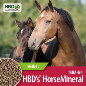 HBDS Mineralfutter HORSEMINERAL OHNE M, A, BT, PELLETIERT für Pferde