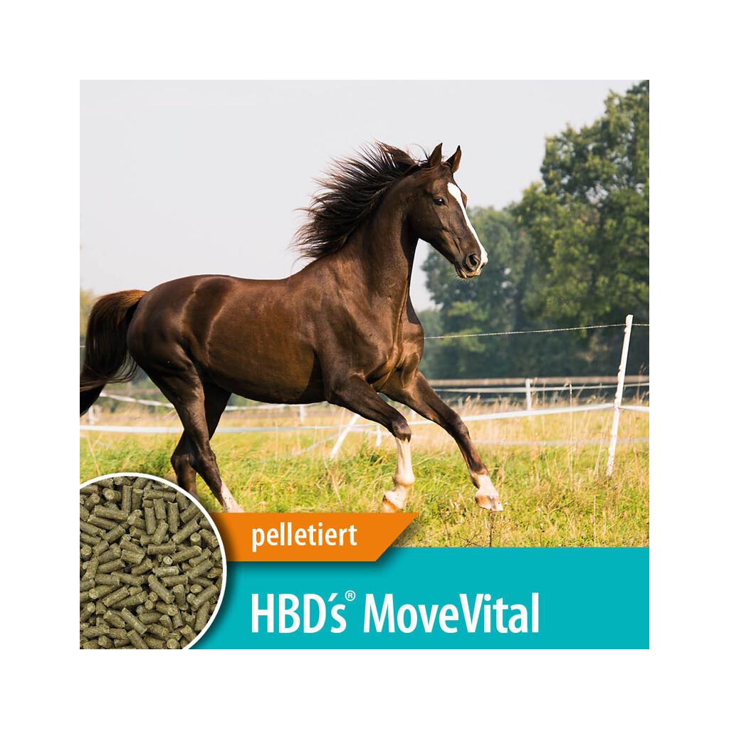 HBDS Ergänzungsfutter MOVE VITAL für Pferde
