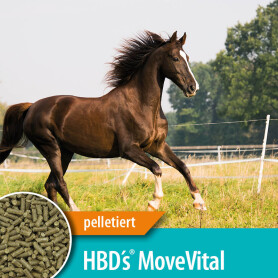 HBDS Ergänzungsfutter MOVE VITAL für Pferde