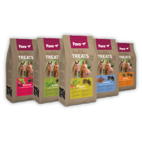 PAVO Leckerlie HEALTHY TREATS LEINSAMEN für Pferde 1kg