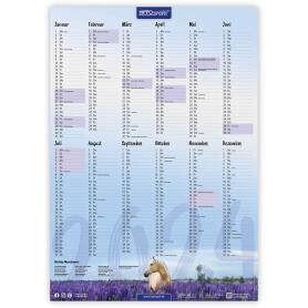 HIPPOSPORT Zubehör WANDKALENDER XXL 2024