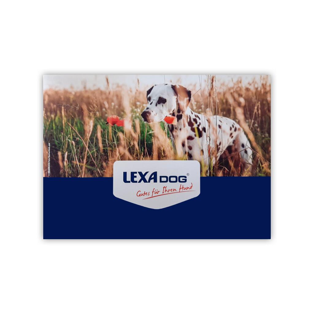LEXA DOG Zubehör KATALOG