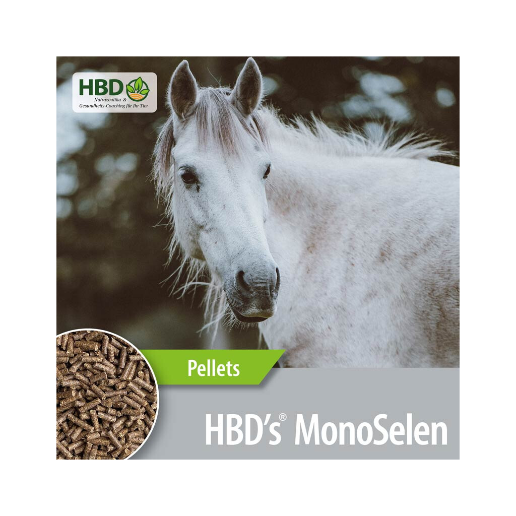 HBDS Ergänzungsfutter MONOSELEN für Pferde 1kg