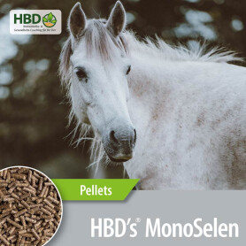HBDS Ergänzungsfutter MONOSELEN für Pferde 1kg
