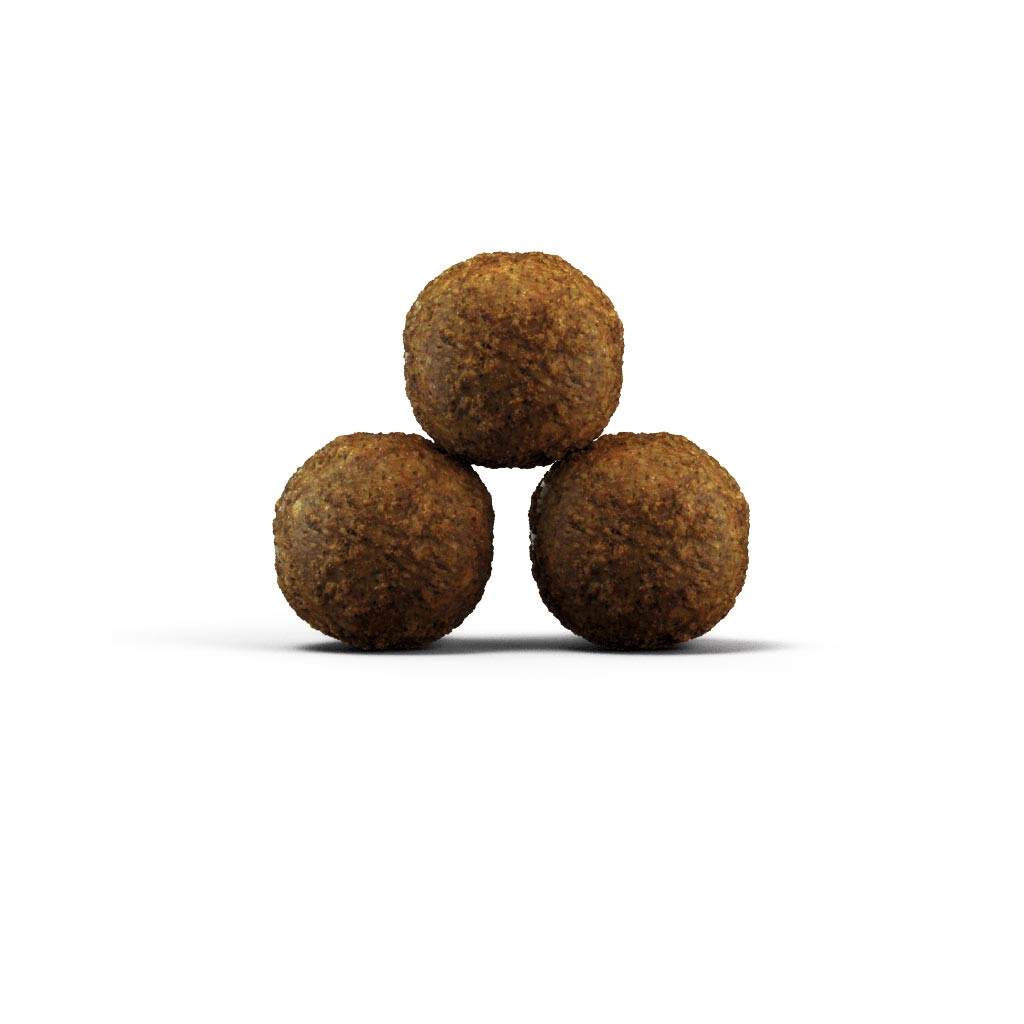 JOSERA Trockenfutter KITTEN GRAINFREE für Katzen