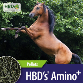 HBDS Ergänzungsfutter AMINO+ für Pferde