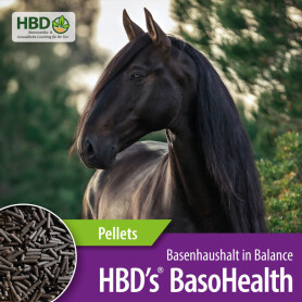 HBDS Ergänzungsfutter BASOHEALTH für Pferde 1,5kg