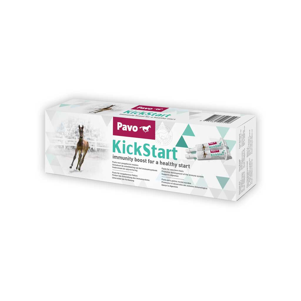 PAVO Ergänzungsfutter KICKSTART für Fohlen 2x32ml