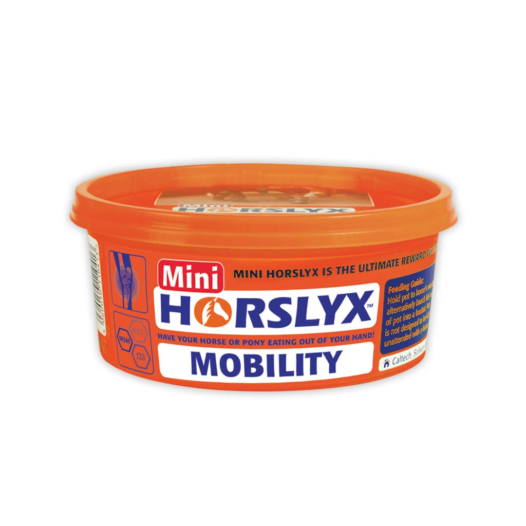 HORSLYX Leckmasse MOBILITY für Pferde 650g