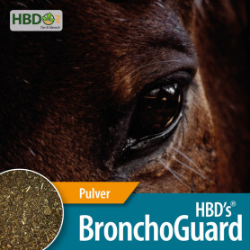 HBDS Ergänzungsfutter BRONCHOGUARD für Pferde 1,5kg