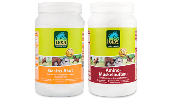 Lexa Gastro-Akut und Amino-Muskelaufbau