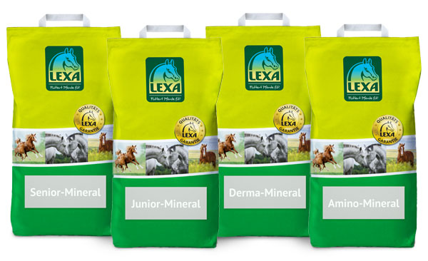 Lexa Produkte