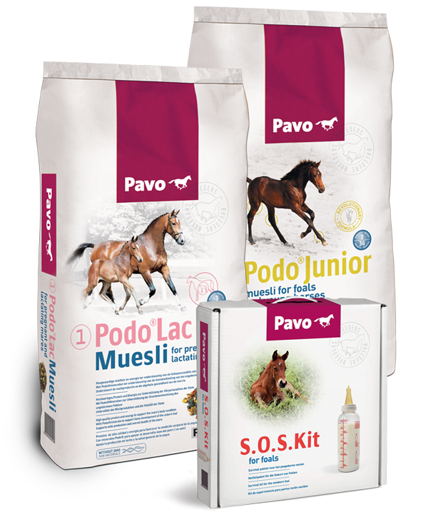 pavo-produkte-markenseite-01.png
