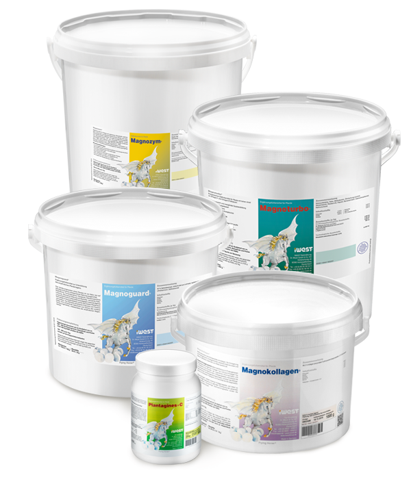 iWest Produkte