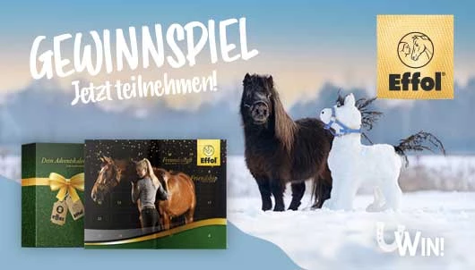 Effol-Gewinnspiel-Slider-Shop-11-2023.webp