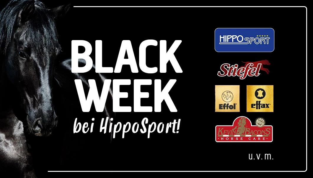 hs-black-week-mit-marken.webp